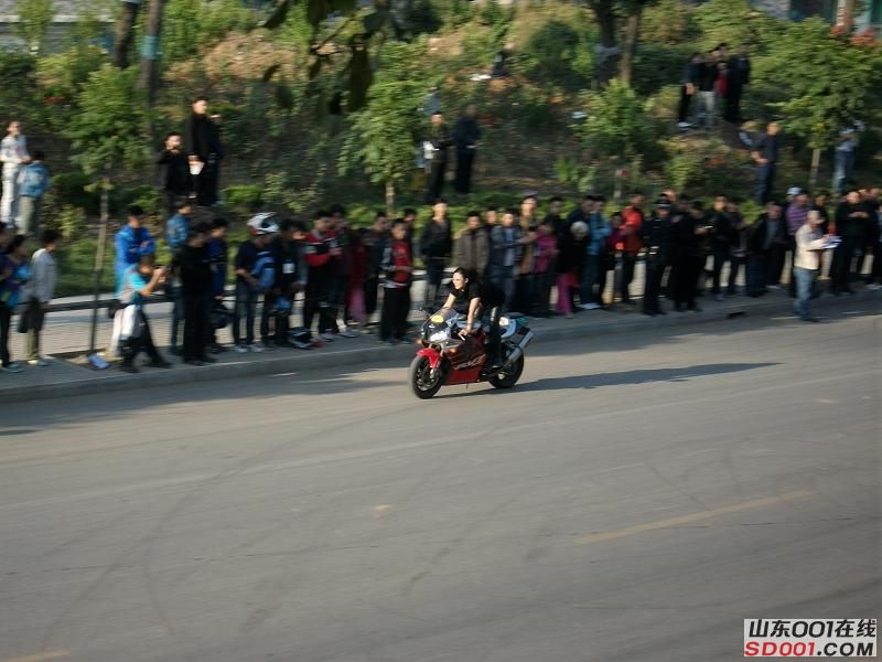 ALIM0283调整后ALIM0283.JPG
