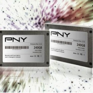 еӲ̣PNY Prevail Elite SSDʱ