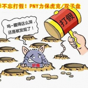 ٣PNY/˫