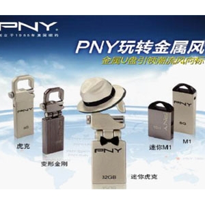  PNY廢ȫ