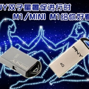 PNY˫ٽʱ M1/MINI M1ÿ