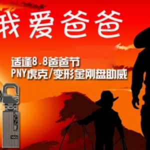 ʷ8.8ְֽ PNY/ν