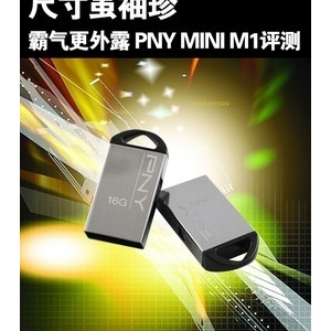 ߴ ¶ PNY MINI M1