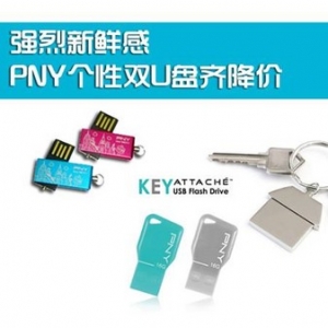 ǿʸ PNY˫U뽵