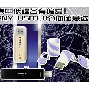 еͶ˸ƫ!PNY USB3.0ѡ