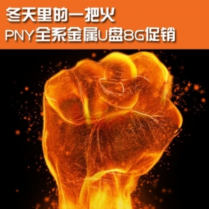 һѻ PNYȫϵU8G