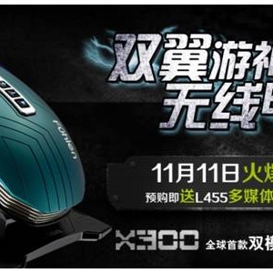 ˫X300𺳵ǳ ԤŹ