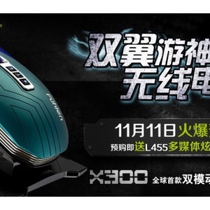 ߵ羺!˫X300Ԥ