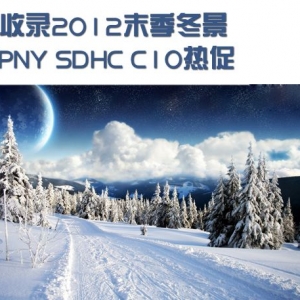 ¼2012ĩ PNY SDHC C10ȴ