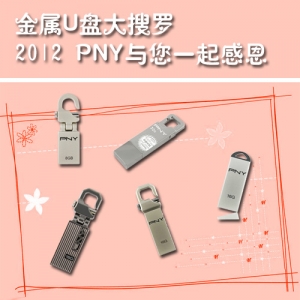 U̴ 2012 PNYһж