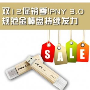 ˫12PNY 3.0淶̳