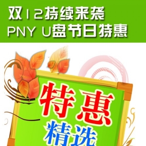 ˫12Ϯ PNY U̽ػ