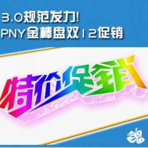3.0淶PNY˫12
