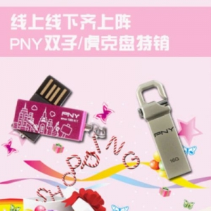  PNY˫ӻ