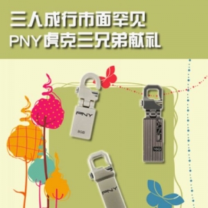 ˳溱 PNYֵ