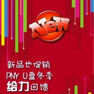 ƷҲ PNY U̶