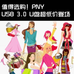 ֵѡPNY USB 3.0 U̳ͼ۵ǳ