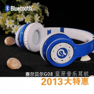 G08ֶ2013ػ