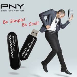 ˣᰮ֣ѧ PNY S1᷽