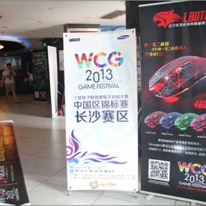 עWCG2013 עųɳֳ