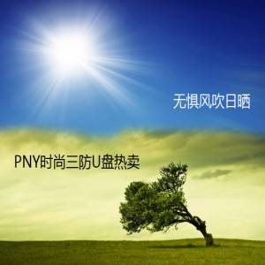 ޾紵ɹ PNYʱU