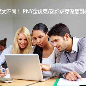 ˴ͬ PNY𻢿/㻢
