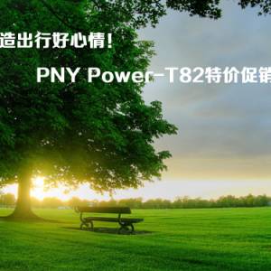 Ӫк飡PNY Power-T82ؼ۴