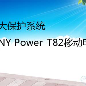 Ⱥϵͳ PNY Power-T82ƶԴɫ