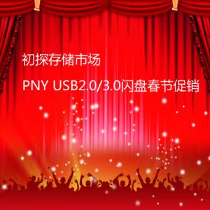 ̽洢г PNY USB2.0/3.0̴ڴ