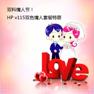 ˫ϡ˽ڣHP v115˫ɫ-ײػ