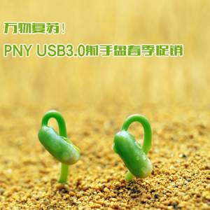 ︴գPNY USB3.0̴