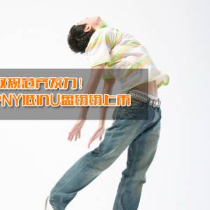 ˫淶뷢PNYͼU̷׷