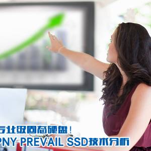 רҵ̬Ӳ̣PNY PREVAIL SSD