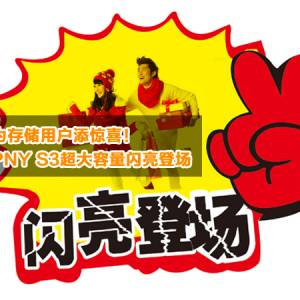 Ϊ洢ûϲPNY S3ǳ