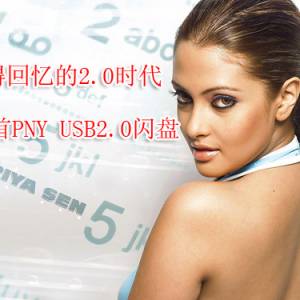 ֵû2.0ʱ PNY USB2.0