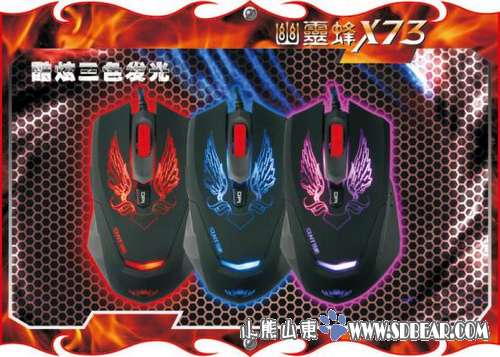 京东讯拓品牌返厂日 全场最高直降100元-济南