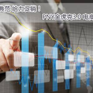 Ʒ䷶ PNY𻢿3.0 ̷