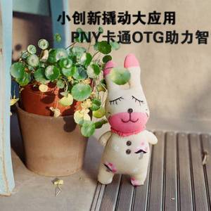 С˶Ӧ PNYͨOTGֻ