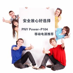 ļȫѡ PNY Power-P104ƶԴƼ