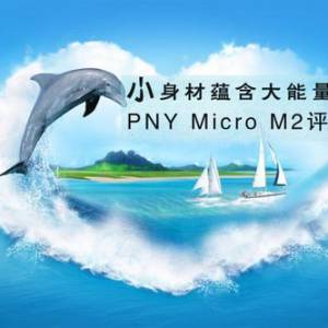 С̺ PNY Micro M2