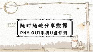 ʱط PNY OU1ֻU