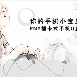 ֻС PNY忨ʽֻUC2