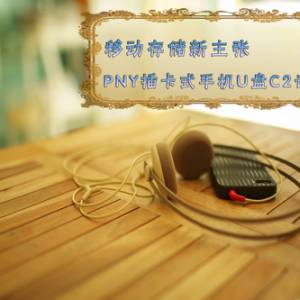 ƶ洢 PNY忨ʽֻUC2