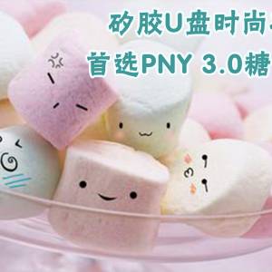 Uʱ ѡPNY 3.0ǹ