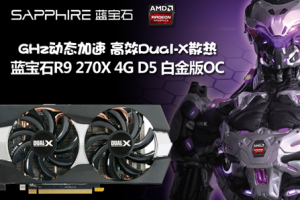 Դдǻ ʯ4GԴR9 270X