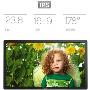 СĴ DELL 24Ӣ4KʾӦ