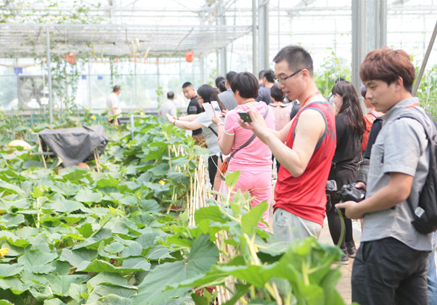 全国网媒记者走进呼和浩特现代化农业示范园-