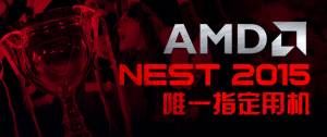 AMD֧NESTΪΨһָû