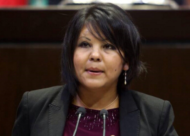 墨西哥女市长就任数小时遇害 曾誓言扫荡毒品