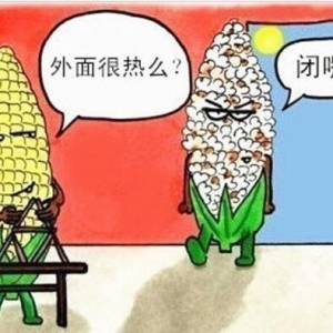 ϢһݴȡŻ